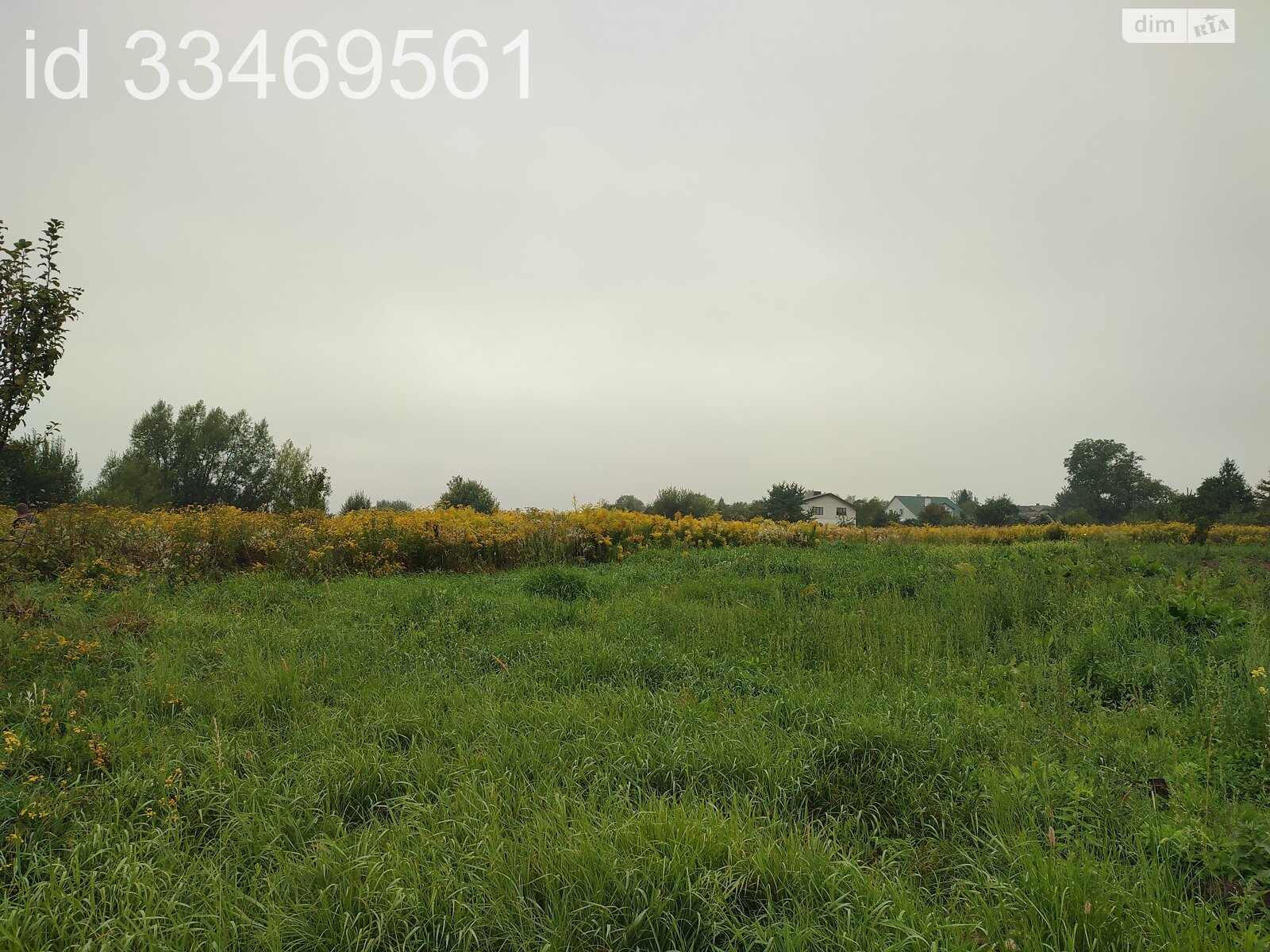 Земельный участок сельскохозяйственного назначения в Пасеки-Зубрицкие, площадь 24.64 сотки фото 1 Земельный участок сельскохозяйственного назначения в Пасеки-Зубрицкие, площадь 24.64 сотки фото 1