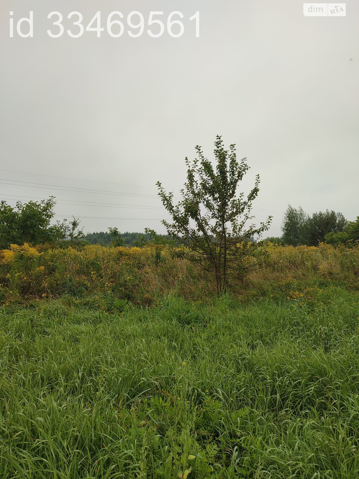 Земельный участок сельскохозяйственного назначения в Пасеки-Зубрицкие, площадь 24.64 сотки фото 1 Земельный участок сельскохозяйственного назначения в Пасеки-Зубрицкие, площадь 24.64 сотки фото 1