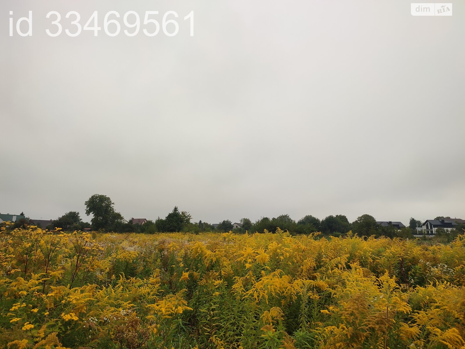 Земельный участок сельскохозяйственного назначения в Пасеки-Зубрицкие, площадь 24.64 сотки фото 1 Земельный участок сельскохозяйственного назначения в Пасеки-Зубрицкие, площадь 24.64 сотки фото 1