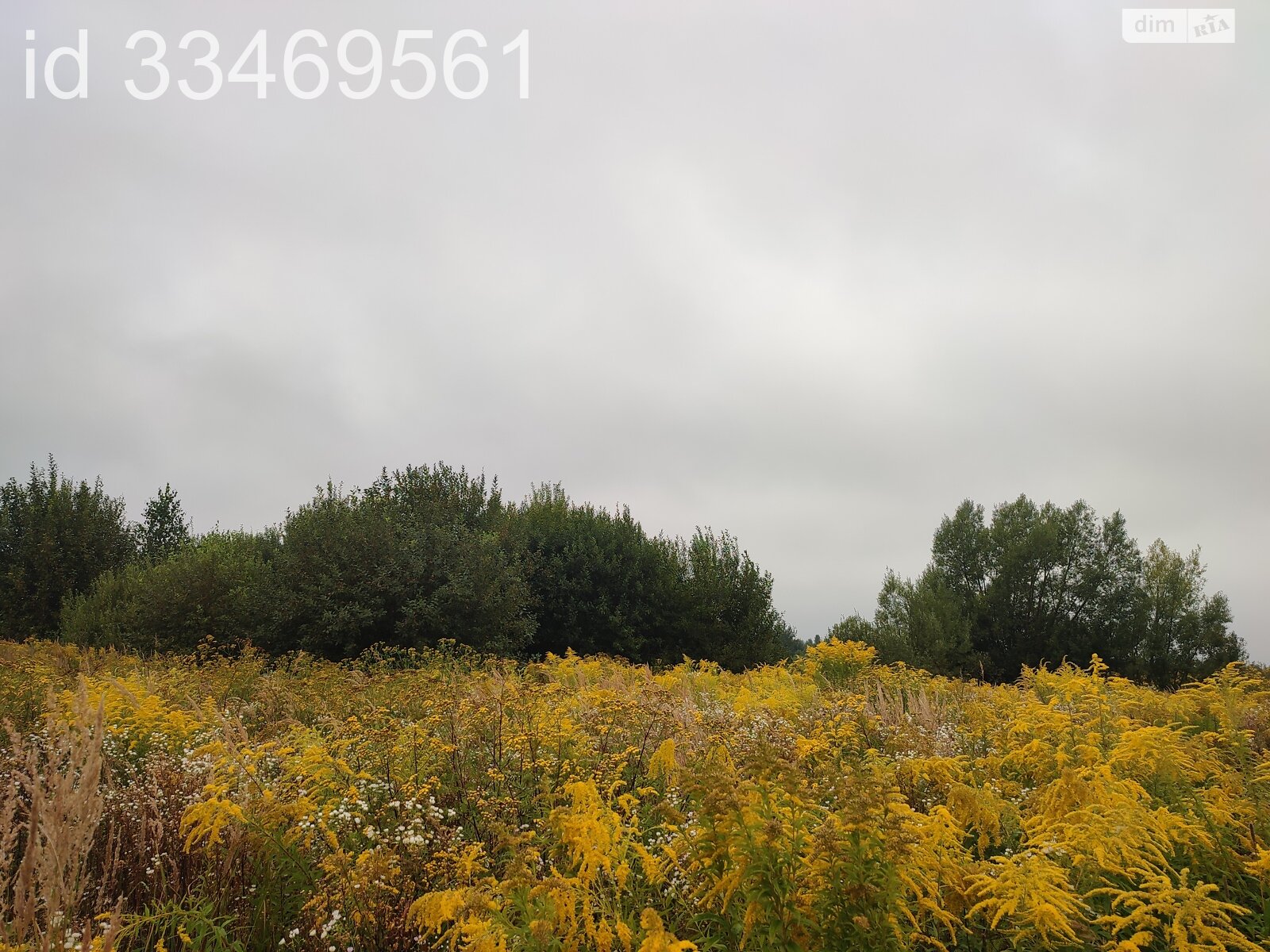 Земельный участок сельскохозяйственного назначения в Пасеки-Зубрицкие, площадь 24.64 сотки фото 1 Земельный участок сельскохозяйственного назначения в Пасеки-Зубрицкие, площадь 24.64 сотки фото 1