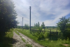 Земельна ділянка сільськогосподарського призначення в Пашківцях, площа 25 соток фото 2