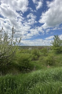 Земельна ділянка сільськогосподарського призначення в Пашківцях, площа 9.93 сотки фото 2