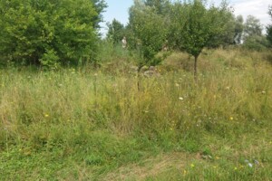 Земельна ділянка сільськогосподарського призначення в Пацканьову, площа 21.33 сотки фото 2