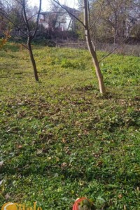 Земельный участок сельскохозяйственного назначения в Павловке, площадь 8 соток фото 2