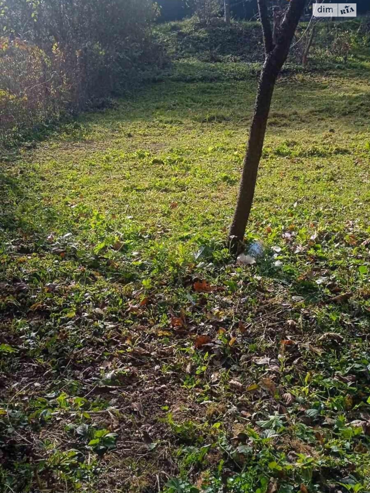 Земельный участок сельскохозяйственного назначения в Павловке, площадь 8 соток фото 1