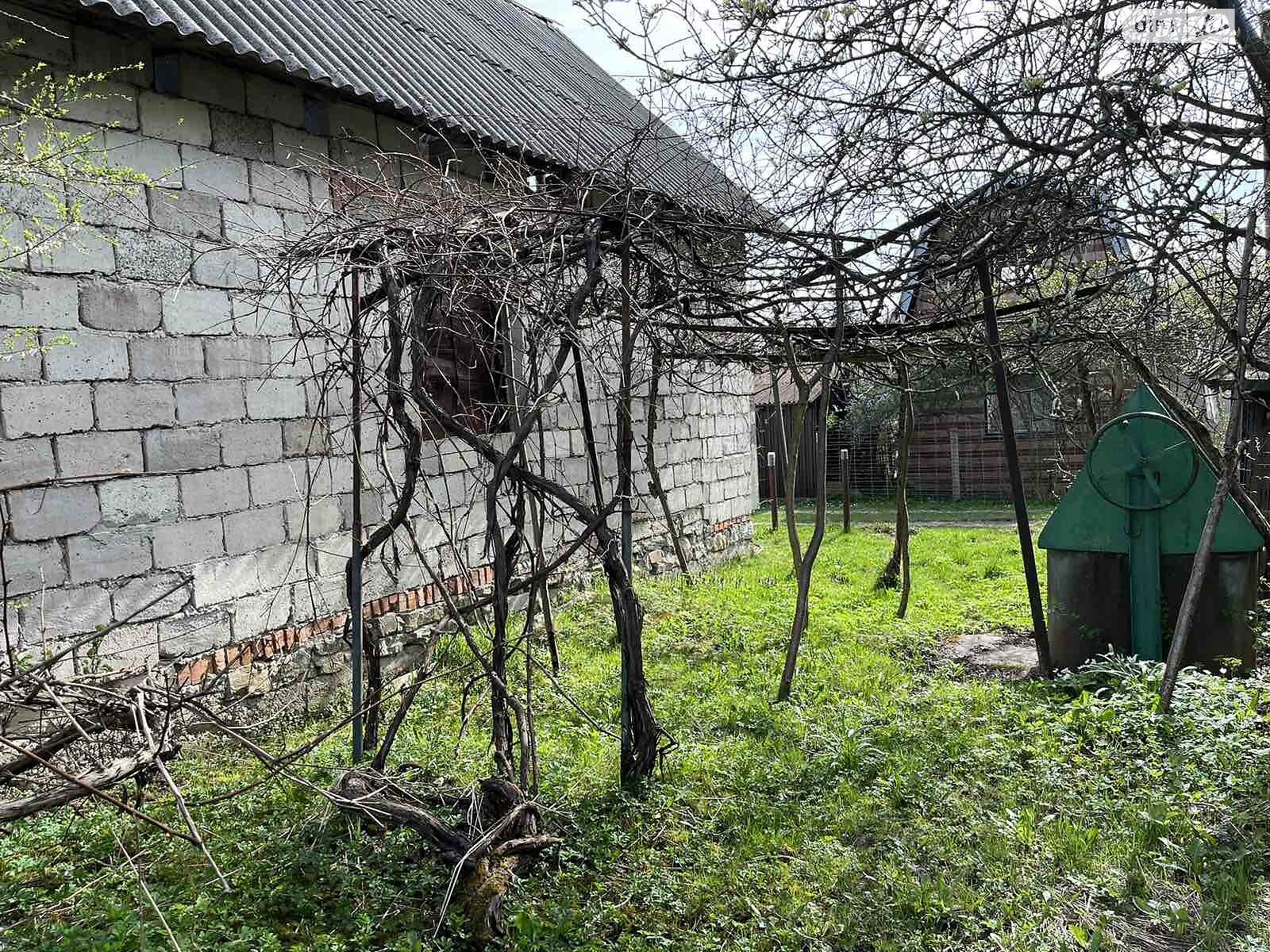 Земельный участок сельскохозяйственного назначения в Павловке, площадь 5.97 сотки фото 1