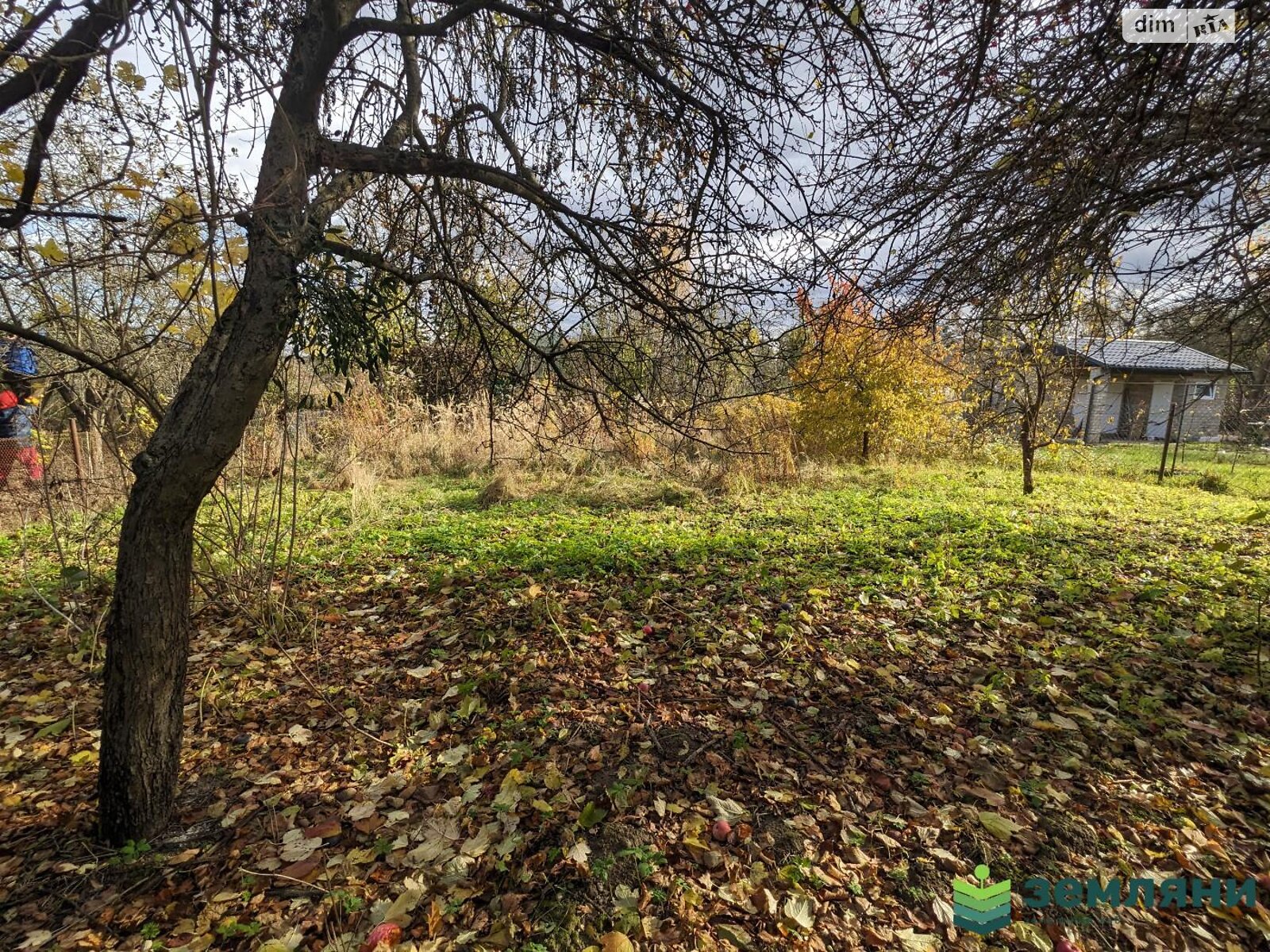 Земельный участок сельскохозяйственного назначения в Павловке, площадь 5.73 сотки фото 1