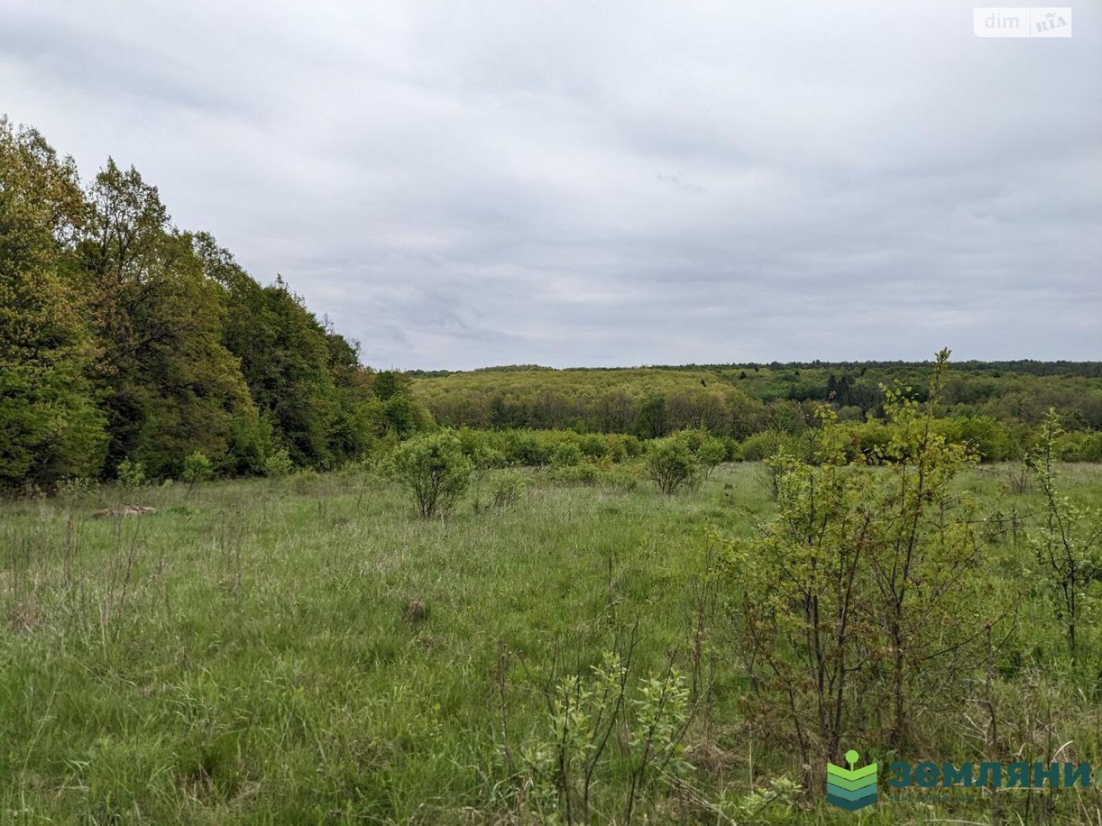 Земельный участок сельскохозяйственного назначения в Павловке, площадь 30 соток фото 1