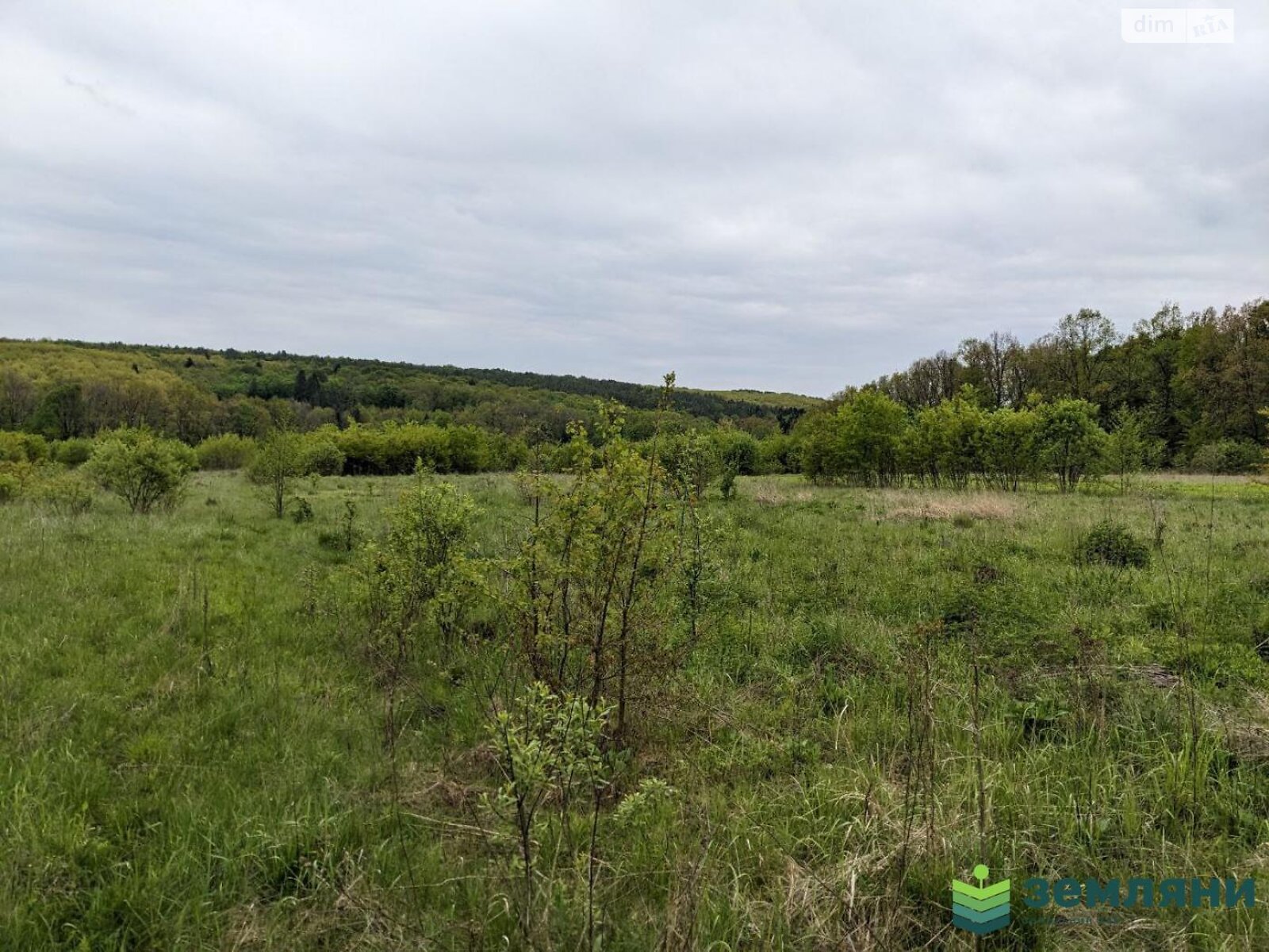 Земельный участок сельскохозяйственного назначения в Павловке, площадь 30 соток фото 1