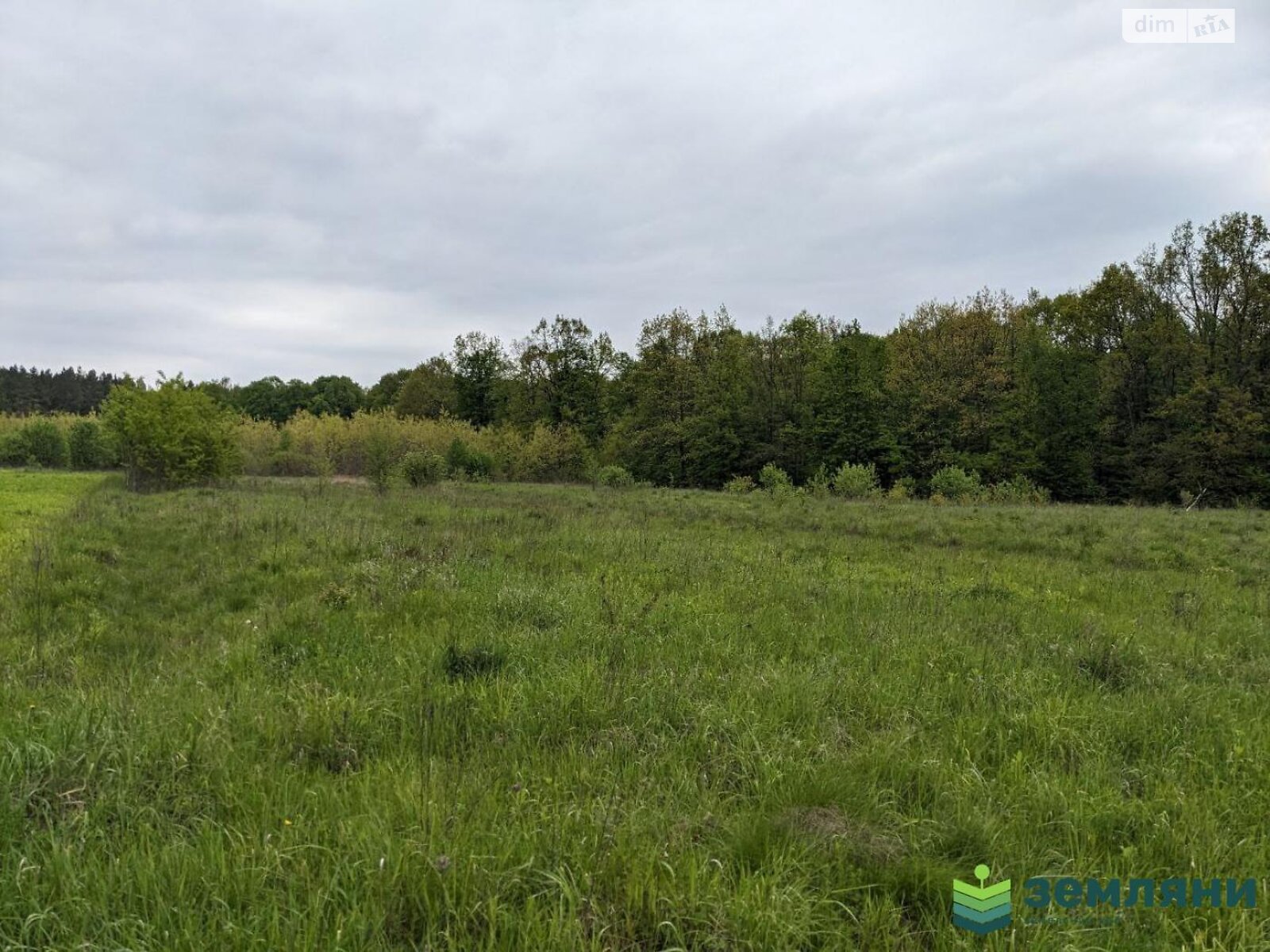 Земельный участок сельскохозяйственного назначения в Павловке, площадь 30 соток фото 1