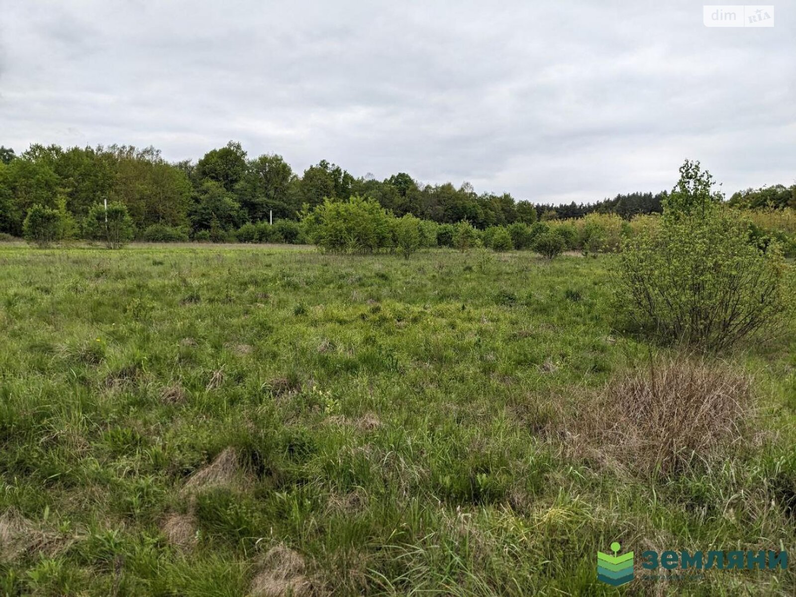 Земельный участок сельскохозяйственного назначения в Павловке, площадь 30 соток фото 1