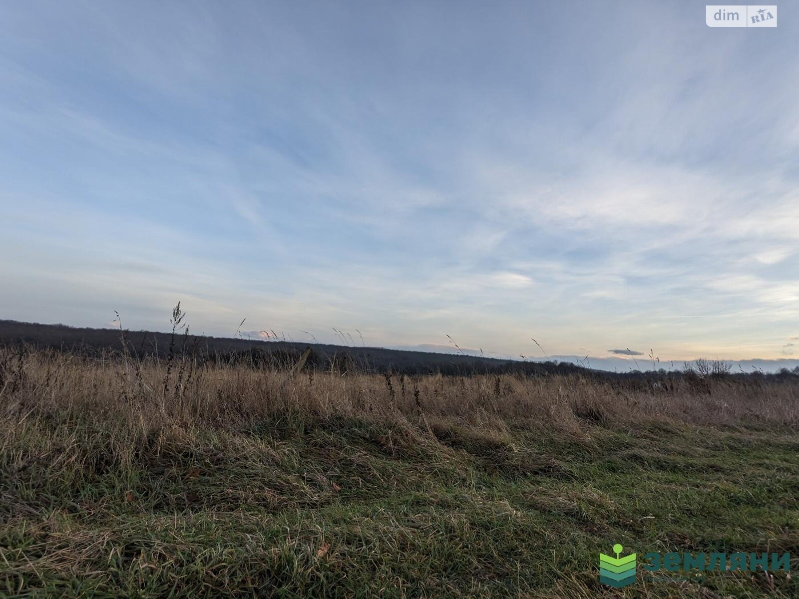 Земельный участок сельскохозяйственного назначения в Павловке, площадь 41.66 сотки фото 1