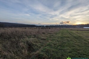 Земельный участок сельскохозяйственного назначения в Павловке, площадь 41.66 сотки фото 2