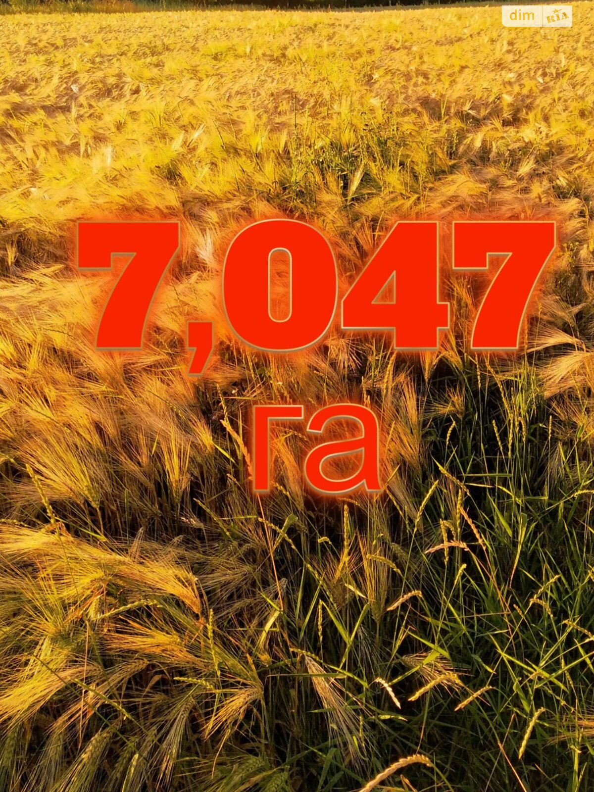 Земельный участок сельскохозяйственного назначения в Паволоче, площадь 7.0356 Га фото 1 Земельный участок сельскохозяйственного назначения в Паволоче, площадь 7.0356 Га фото 1