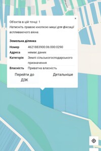 Земельный участок сельскохозяйственного назначения в Печениях, площадь 1.99 Га фото 2