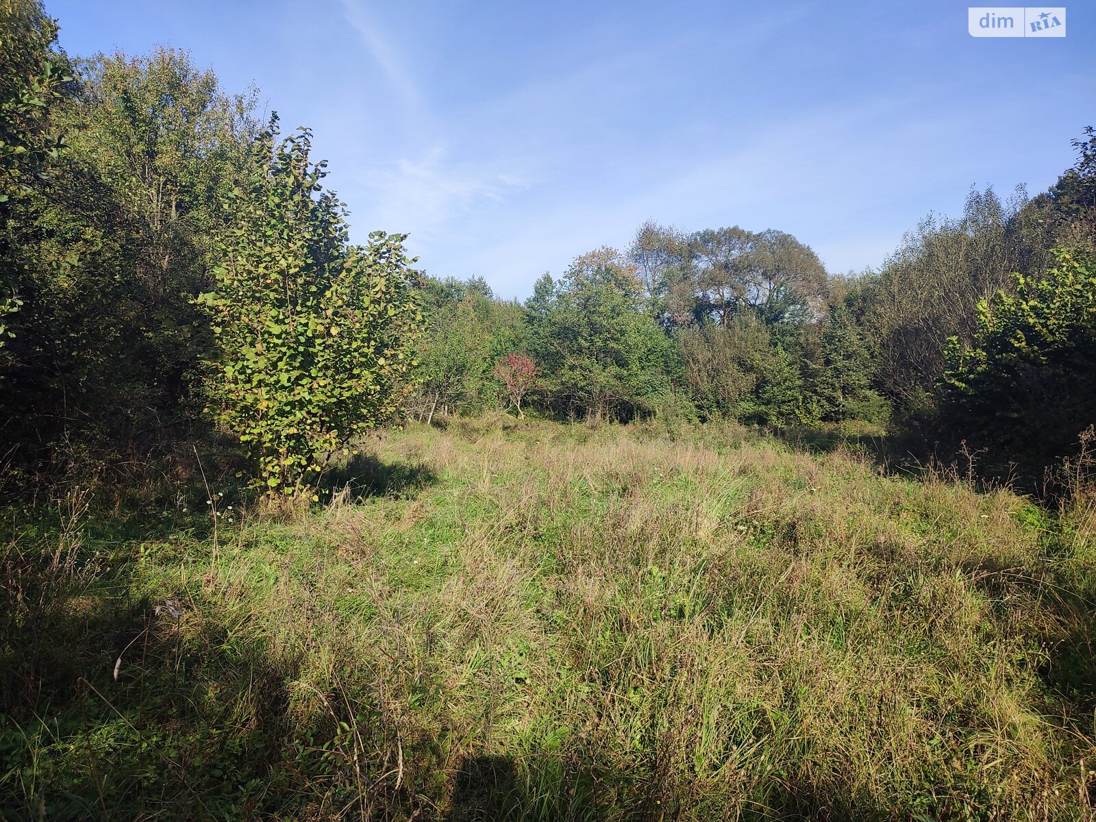 Земля сельскохозяйственного назначения в Перечине, район Перечин, площадь 85 соток фото 1 Земля сельскохозяйственного назначения в Перечине, район Перечин, площадь 85 соток фото 1
