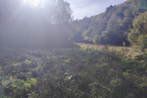 Земля сельскохозяйственного назначения в Перечине, район Перечин, площадь 85 соток фото 2 Земля сельскохозяйственного назначения в Перечине, район Перечин, площадь 85 соток фото 2