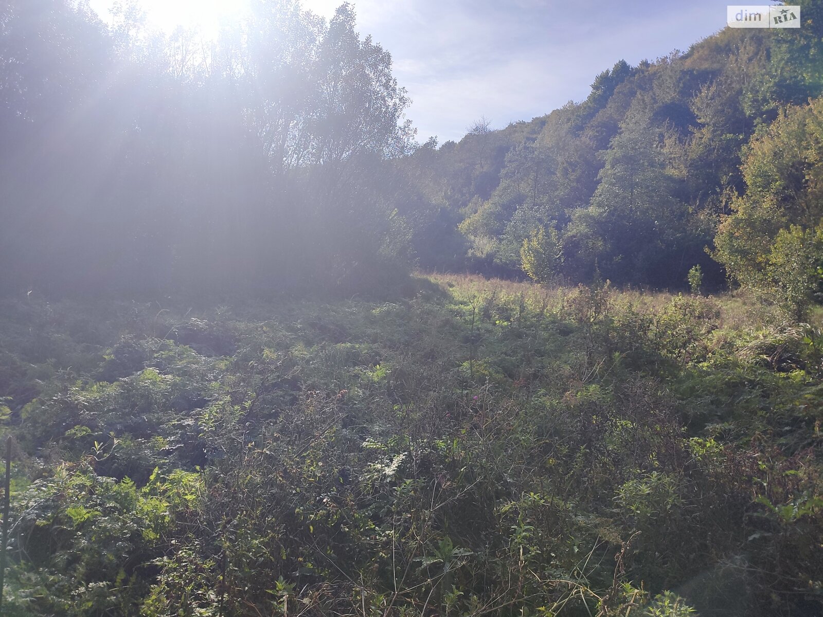 Земля сельскохозяйственного назначения в Перечине, район Перечин, площадь 85 соток фото 1 Земля сельскохозяйственного назначения в Перечине, район Перечин, площадь 85 соток фото 1