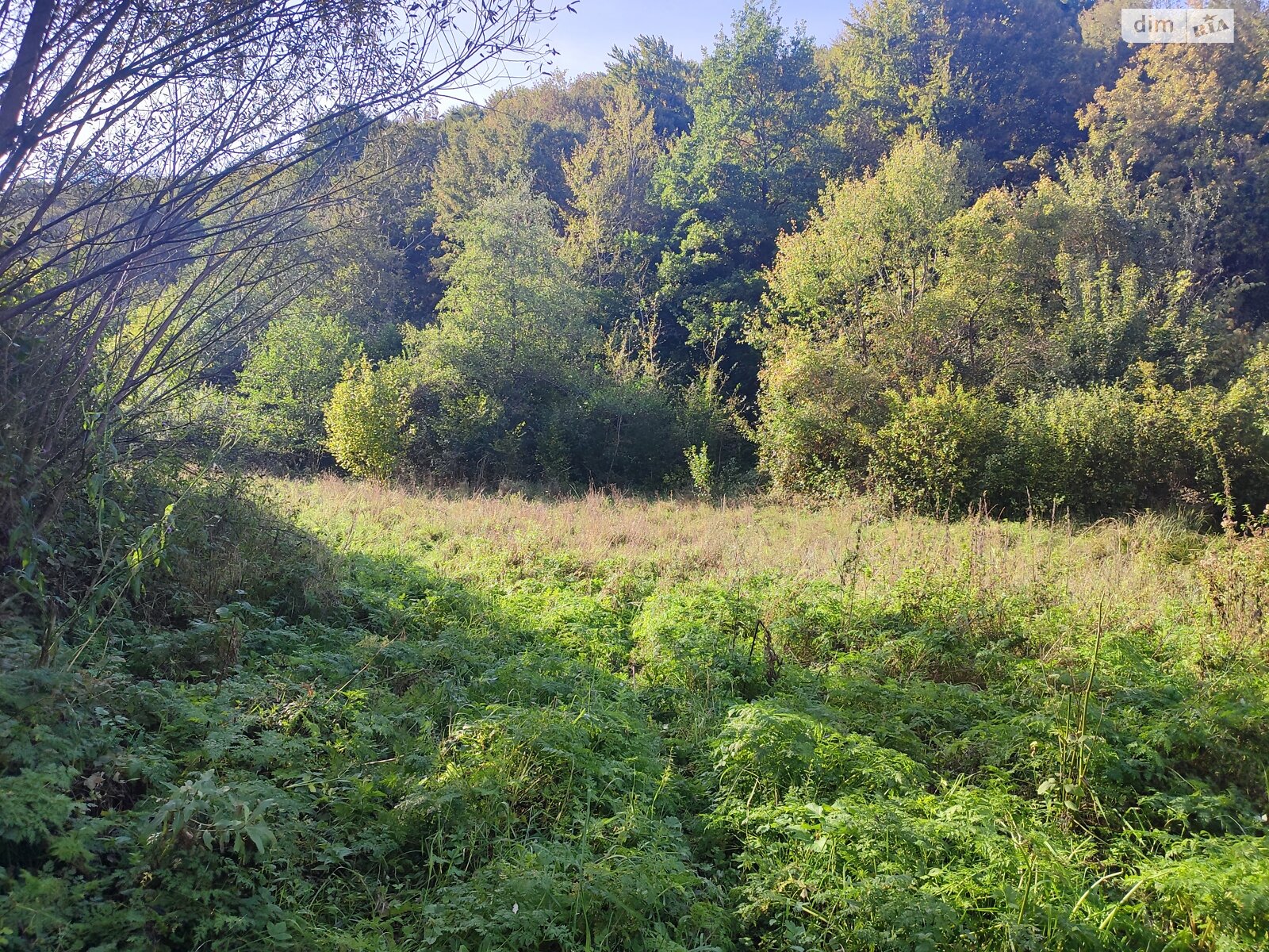 Земля сельскохозяйственного назначения в Перечине, район Перечин, площадь 85 соток фото 1 Земля сельскохозяйственного назначения в Перечине, район Перечин, площадь 85 соток фото 1