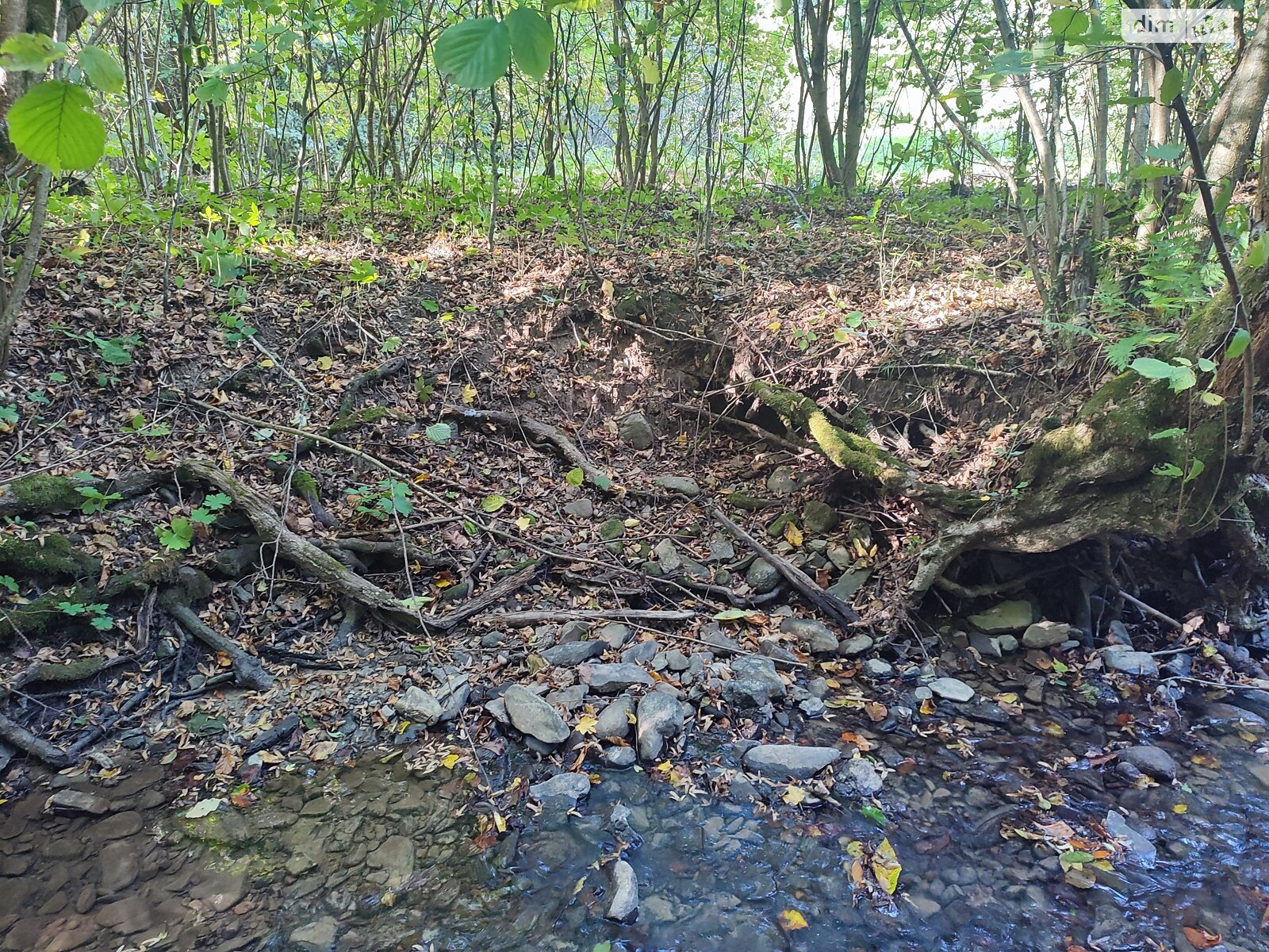 Земля сельскохозяйственного назначения в Перечине, район Перечин, площадь 85 соток фото 1 Земля сельскохозяйственного назначения в Перечине, район Перечин, площадь 85 соток фото 1