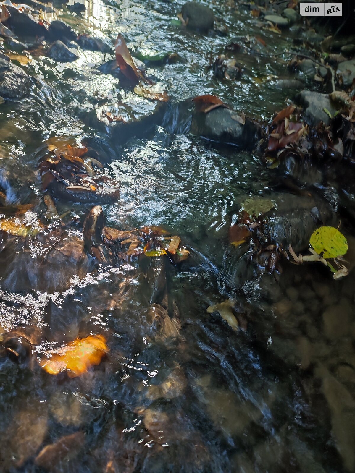 Земля сельскохозяйственного назначения в Перечине, район Перечин, площадь 85 соток фото 1 Земля сельскохозяйственного назначения в Перечине, район Перечин, площадь 85 соток фото 1