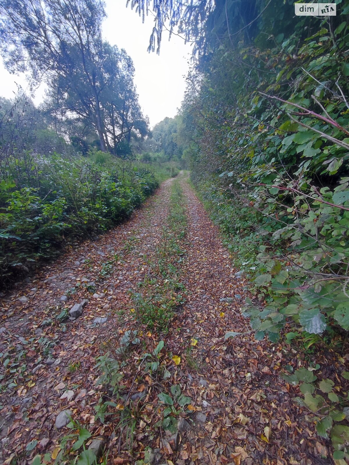 Земля сельскохозяйственного назначения в Перечине, район Перечин, площадь 85 соток фото 1 Земля сельскохозяйственного назначения в Перечине, район Перечин, площадь 85 соток фото 1