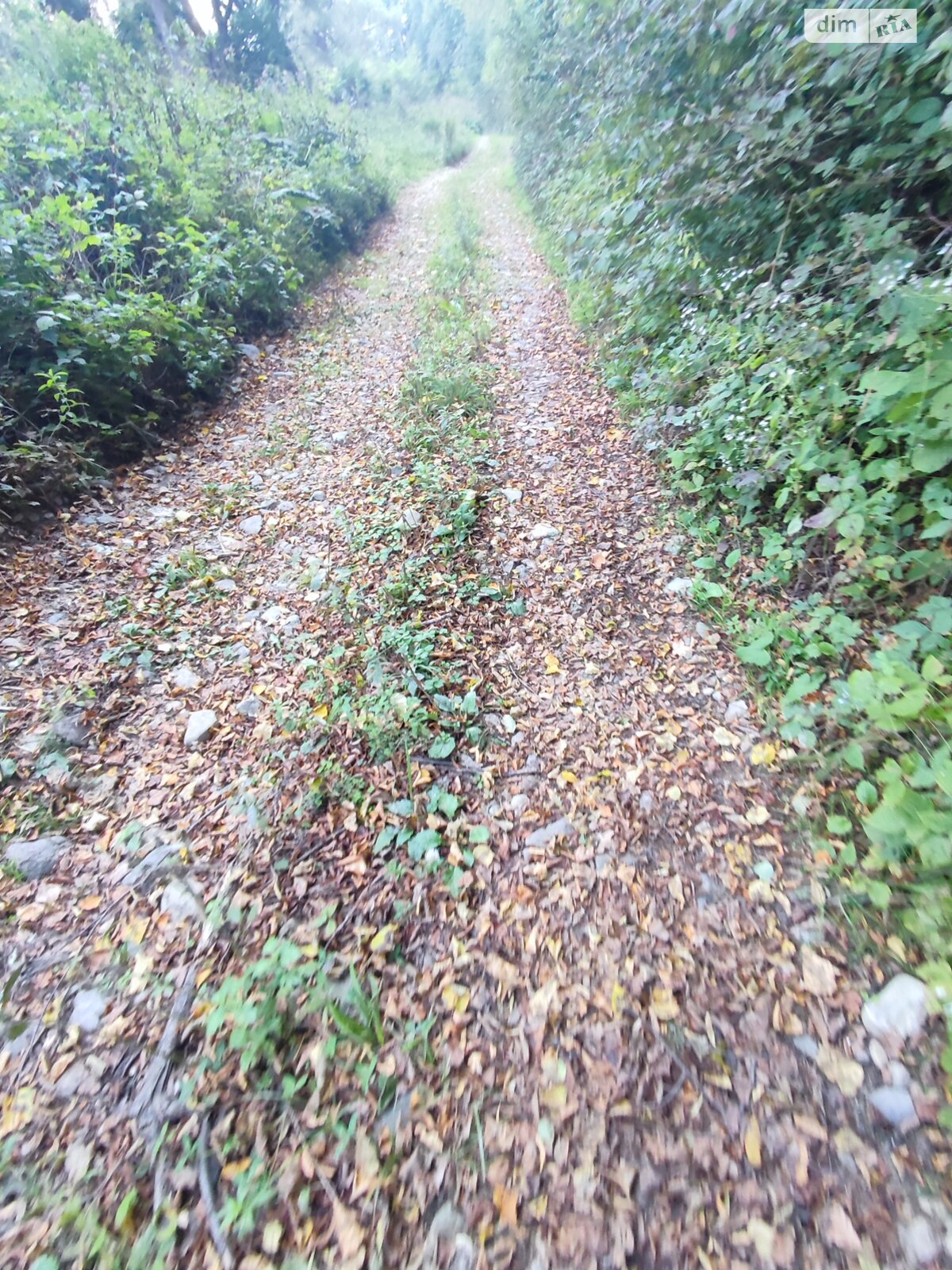 Земля сельскохозяйственного назначения в Перечине, район Перечин, площадь 85 соток фото 1 Земля сельскохозяйственного назначения в Перечине, район Перечин, площадь 85 соток фото 1