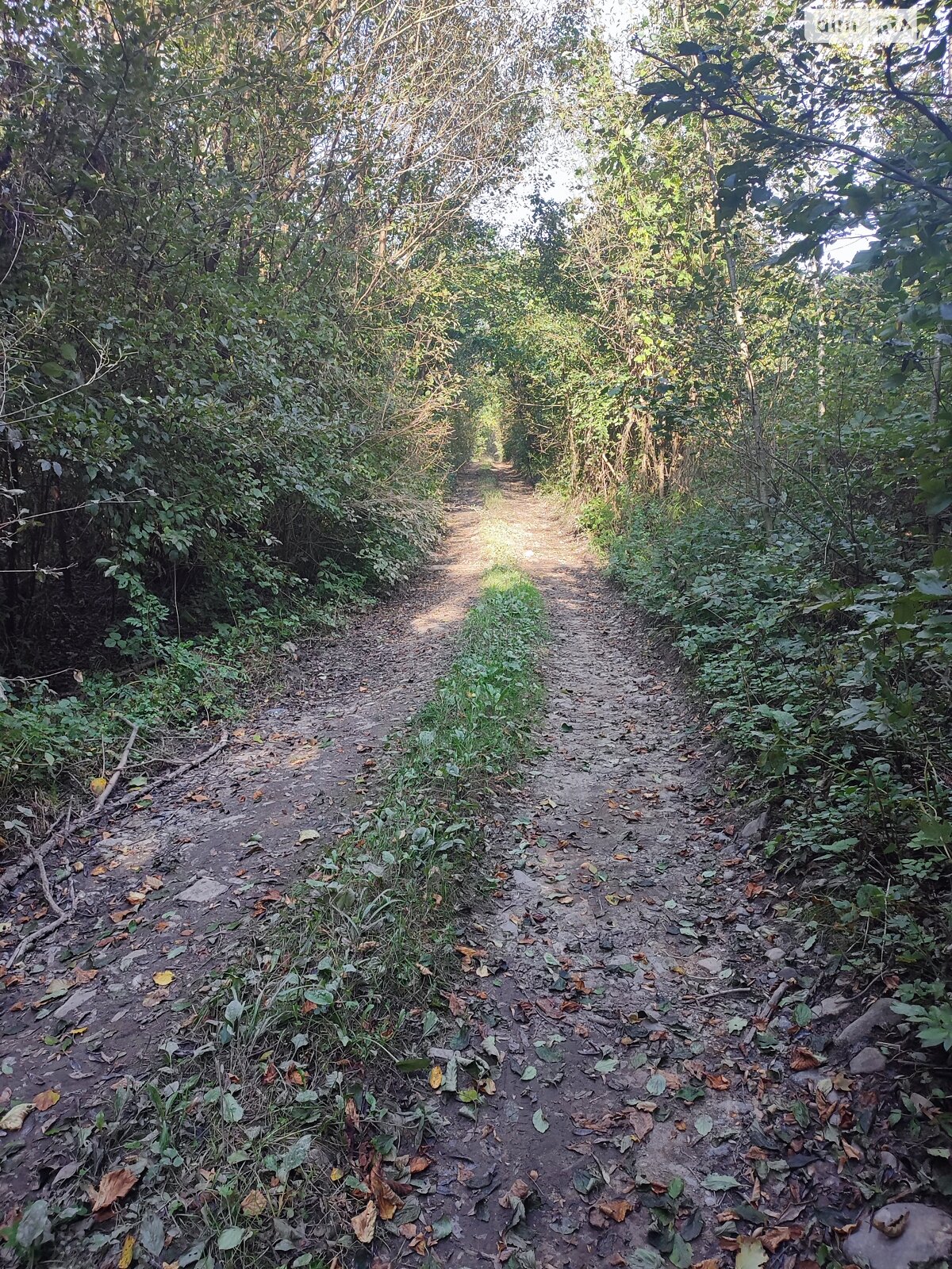 Земля сельскохозяйственного назначения в Перечине, район Перечин, площадь 85 соток фото 1 Земля сельскохозяйственного назначения в Перечине, район Перечин, площадь 85 соток фото 1