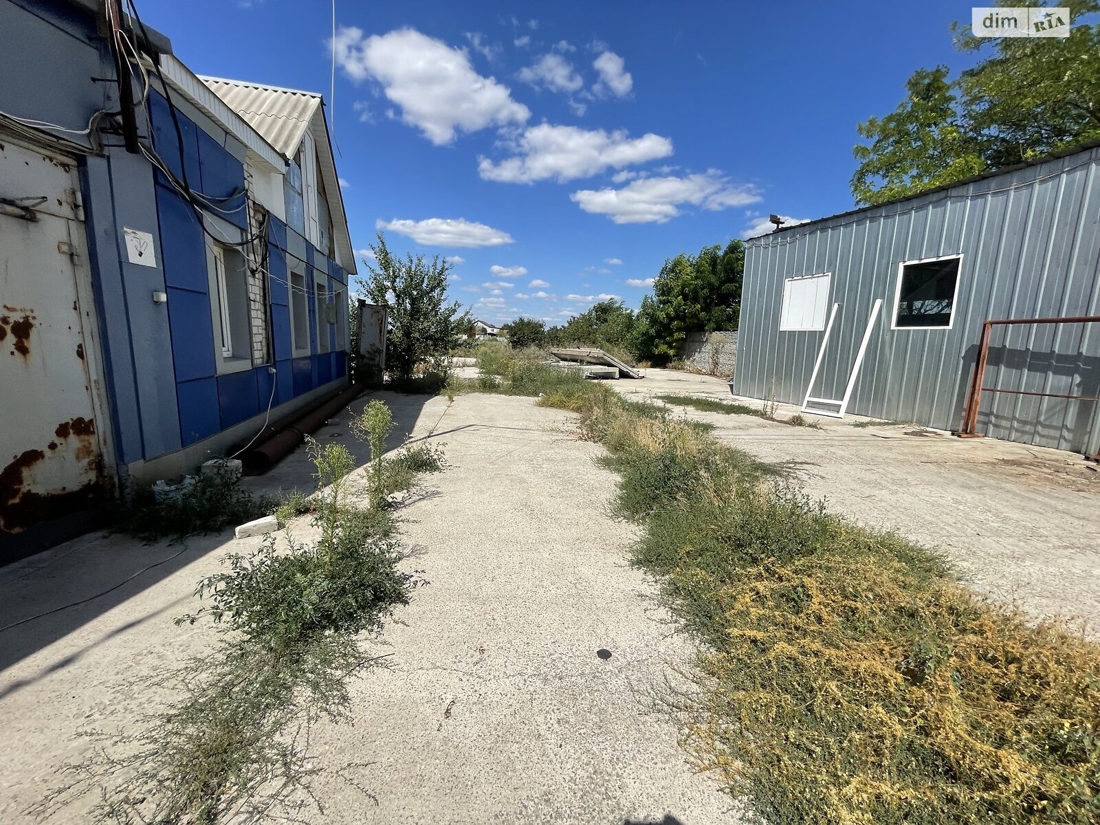 Земельна ділянка сільськогосподарського призначення в Перемозі, площа 80 соток фото 1