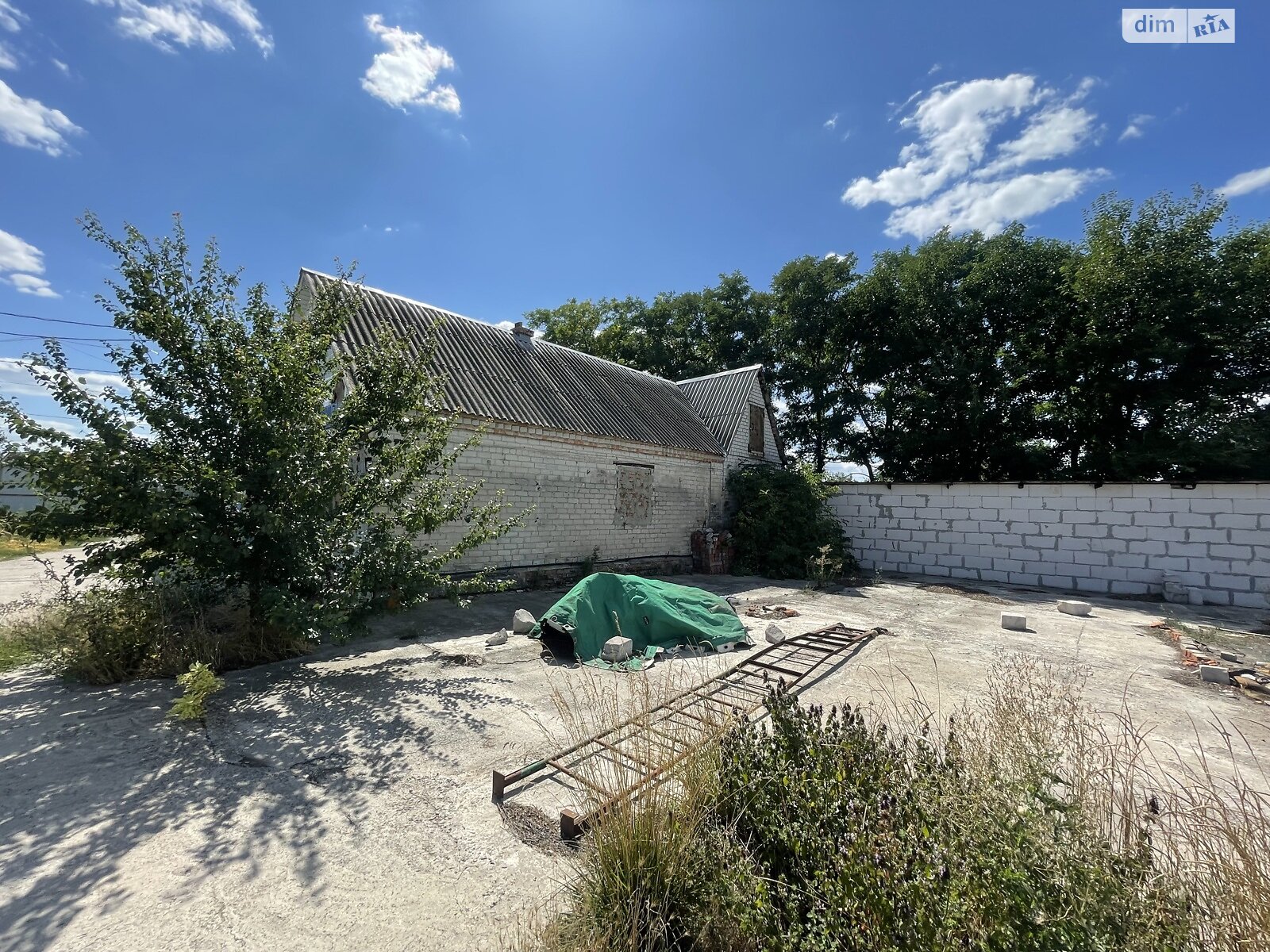 Земельна ділянка сільськогосподарського призначення в Перемозі, площа 80 соток фото 1