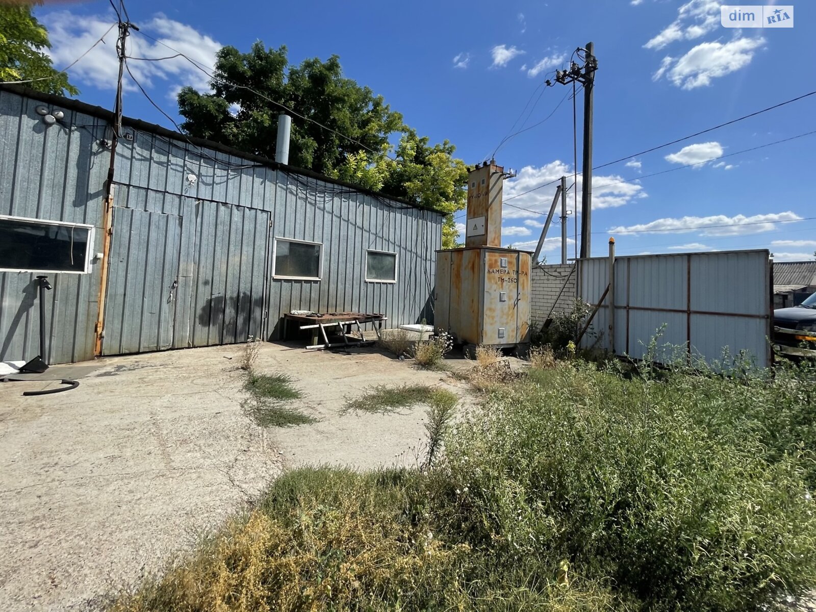 Земельна ділянка сільськогосподарського призначення в Перемозі, площа 80 соток фото 1