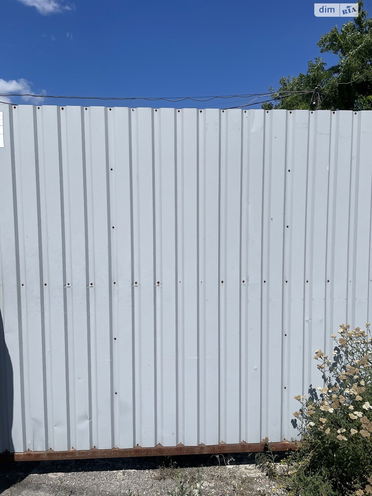 Земельна ділянка сільськогосподарського призначення в Перемозі, площа 80 соток фото 1