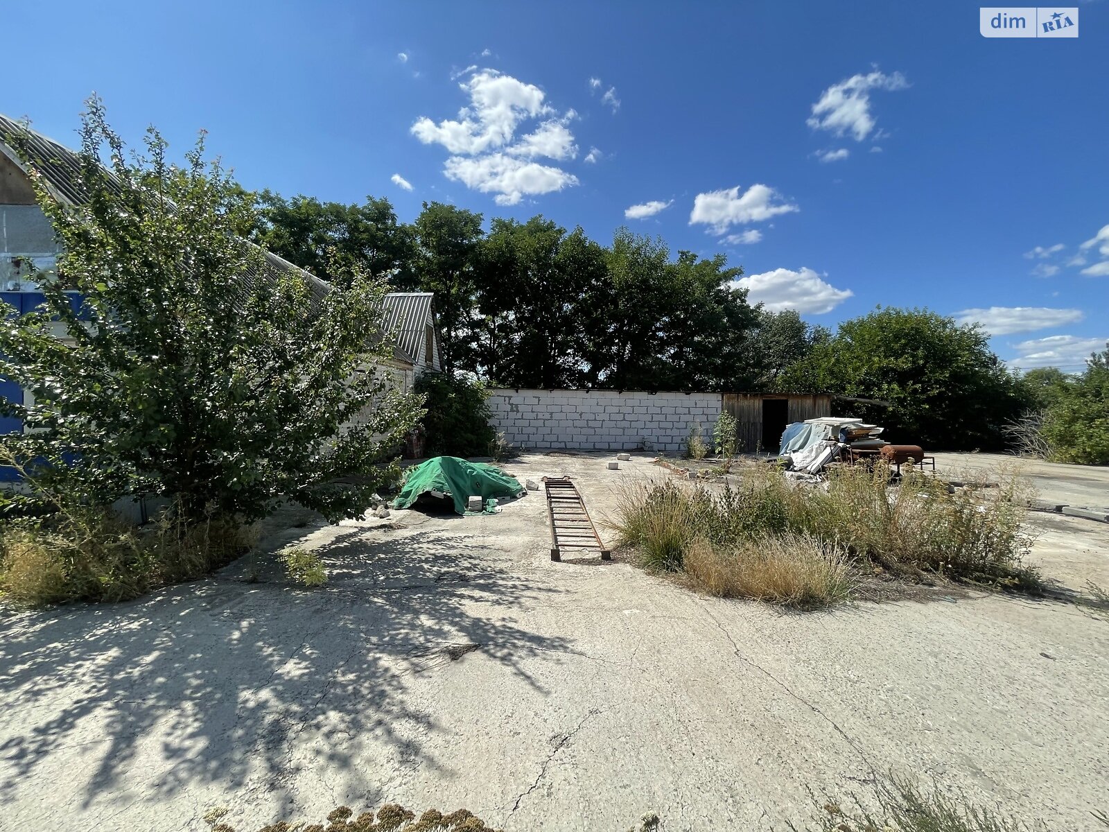 Земельна ділянка сільськогосподарського призначення в Перемозі, площа 80 соток фото 1