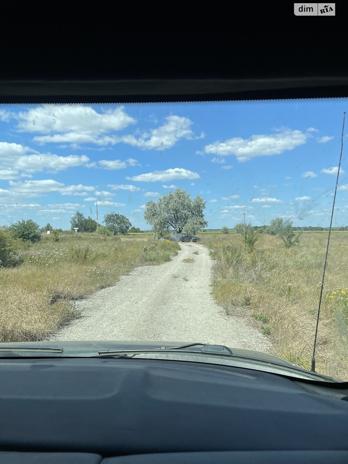 Земельна ділянка сільськогосподарського призначення в Перемозі, площа 80 соток фото 1
