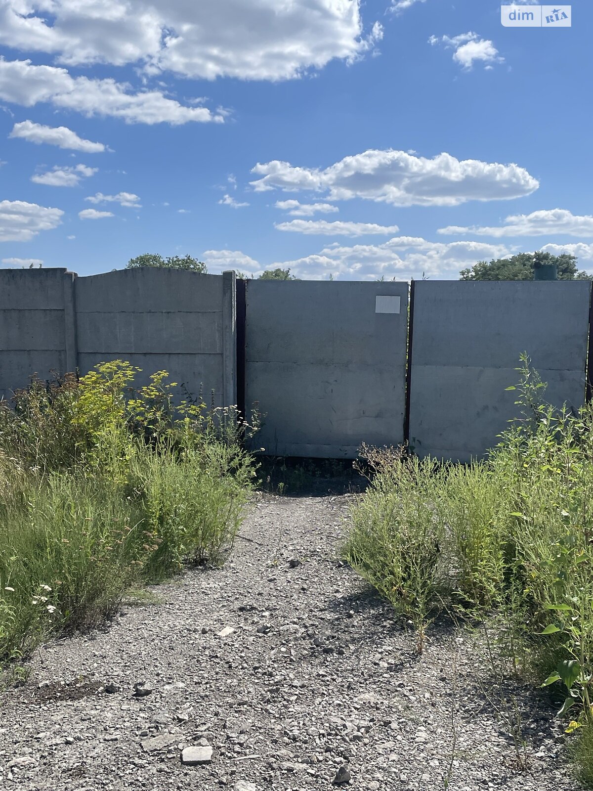 Земельна ділянка сільськогосподарського призначення в Перемозі, площа 80 соток фото 1