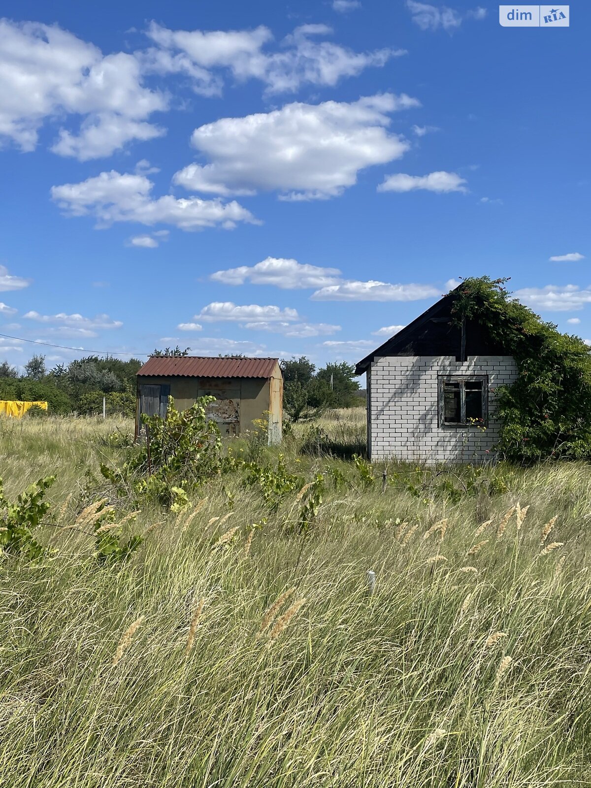 Земельна ділянка сільськогосподарського призначення в Перемозі, площа 80 соток фото 1