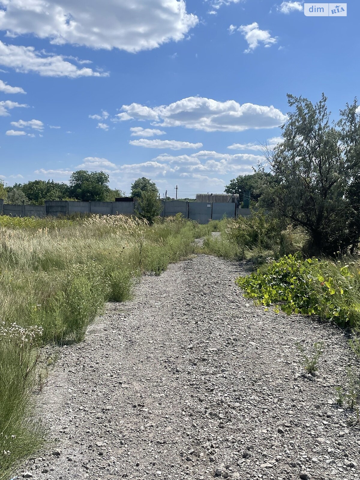 Земельна ділянка сільськогосподарського призначення в Перемозі, площа 80 соток фото 1