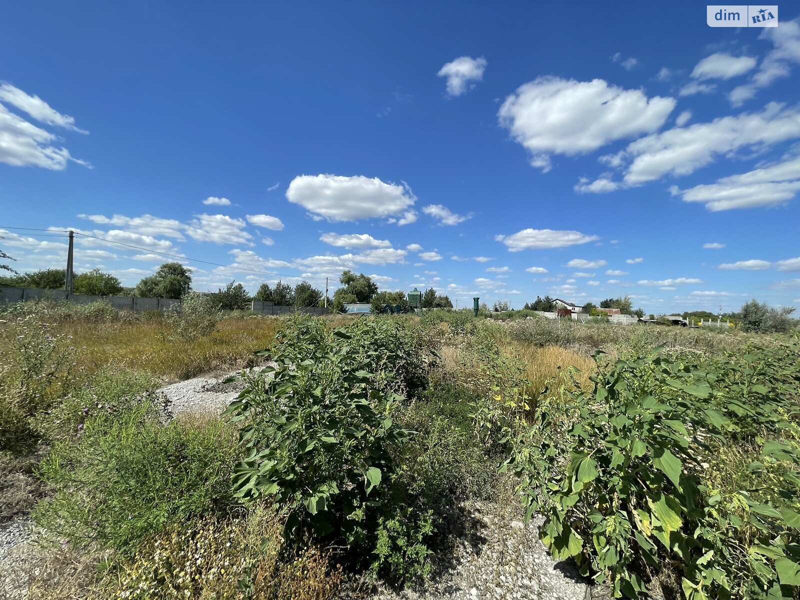 Земельна ділянка сільськогосподарського призначення в Перемозі, площа 80 соток фото 1