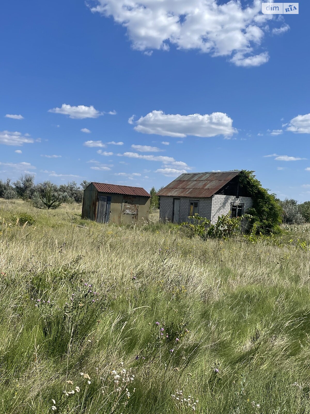 Земельна ділянка сільськогосподарського призначення в Перемозі, площа 80 соток фото 1