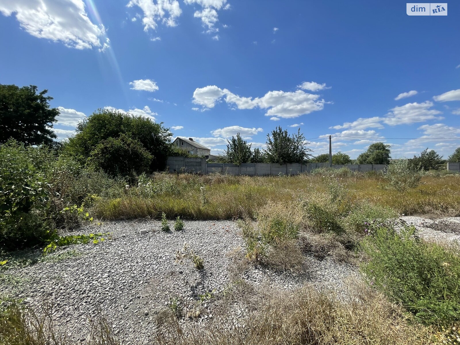 Земельна ділянка сільськогосподарського призначення в Перемозі, площа 80 соток фото 1