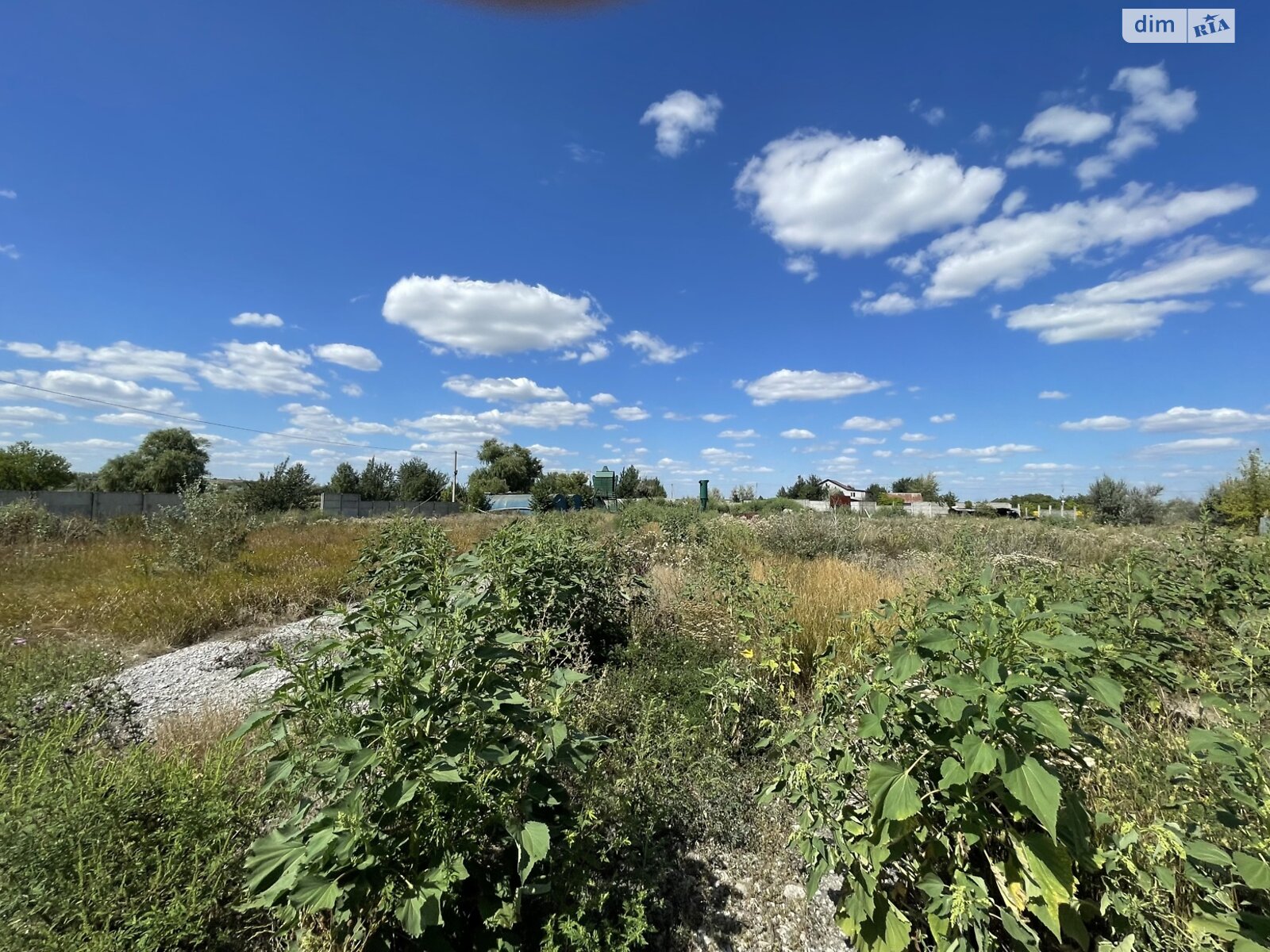 Земельна ділянка сільськогосподарського призначення в Перемозі, площа 80 соток фото 1