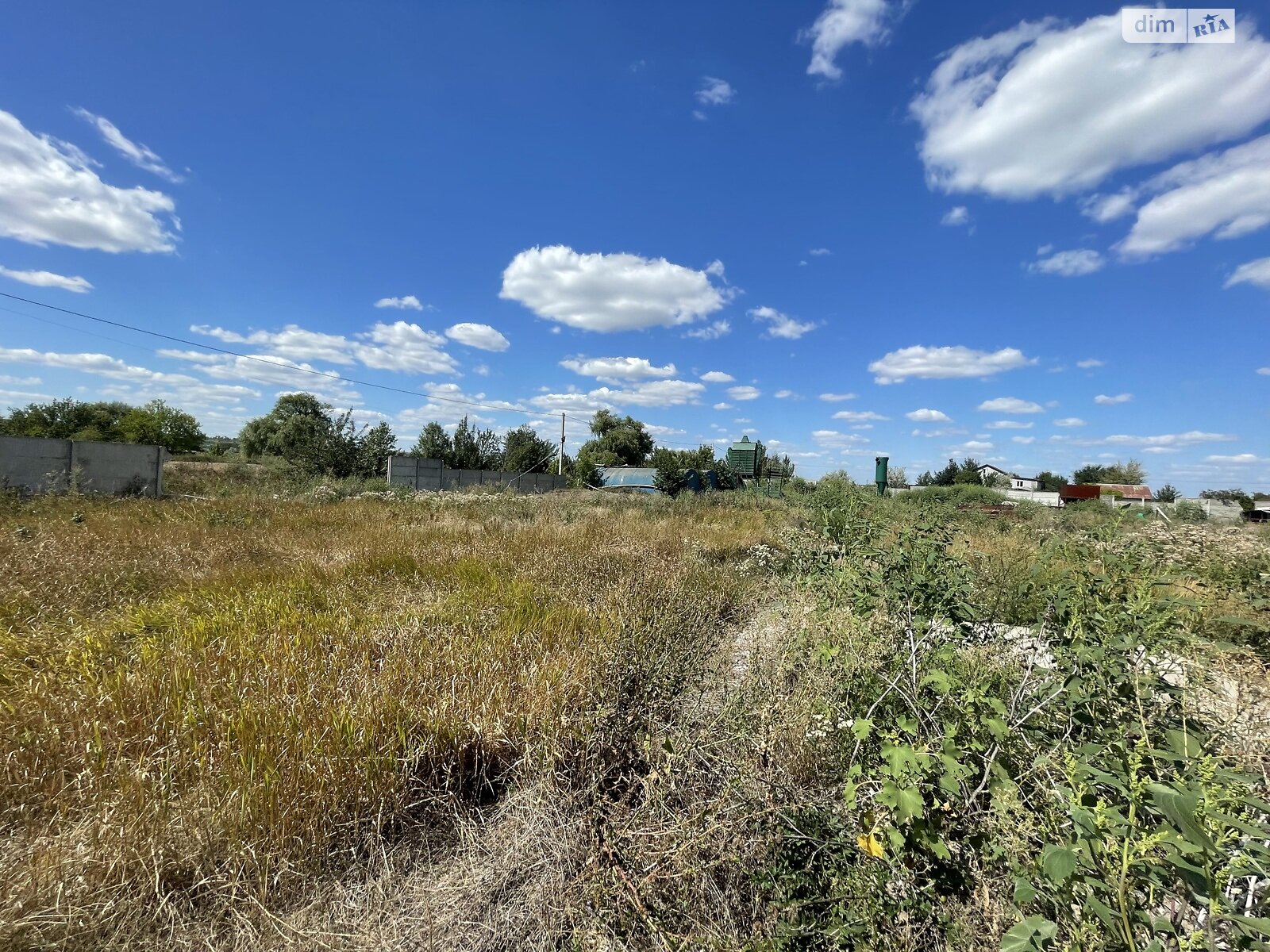 Земельна ділянка сільськогосподарського призначення в Перемозі, площа 80 соток фото 1