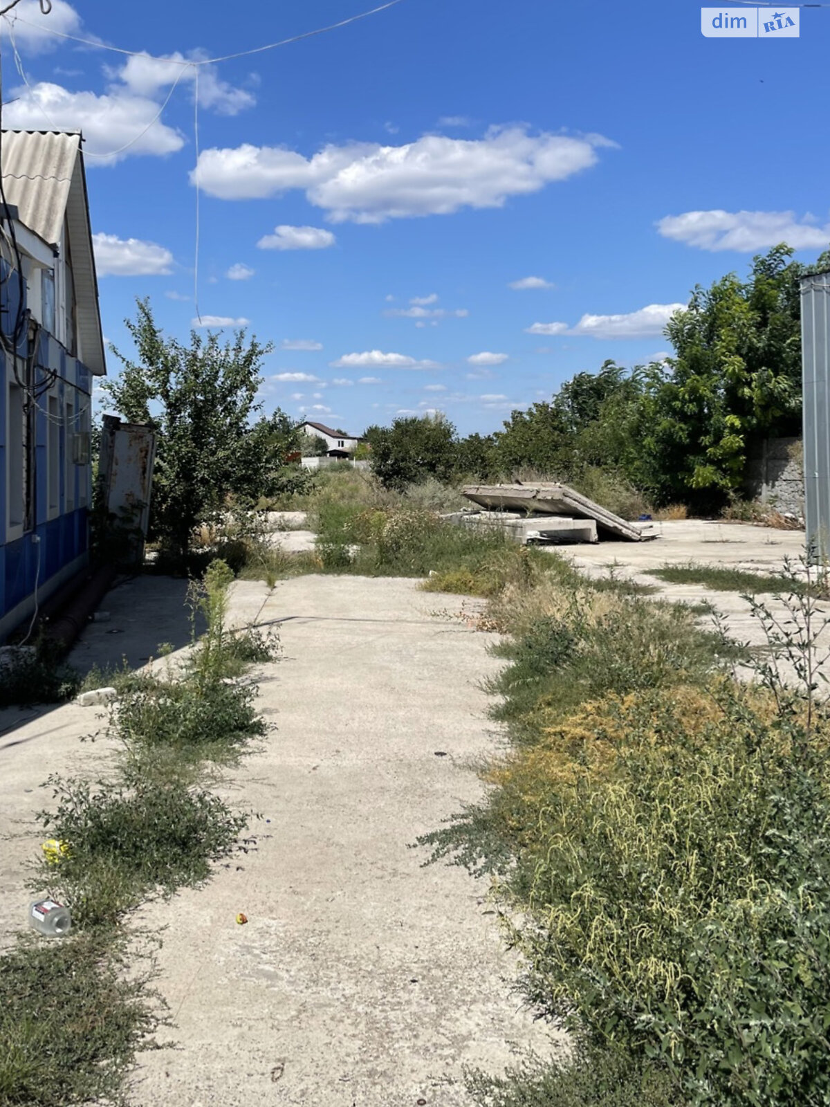 Земельна ділянка сільськогосподарського призначення в Перемозі, площа 80 соток фото 1