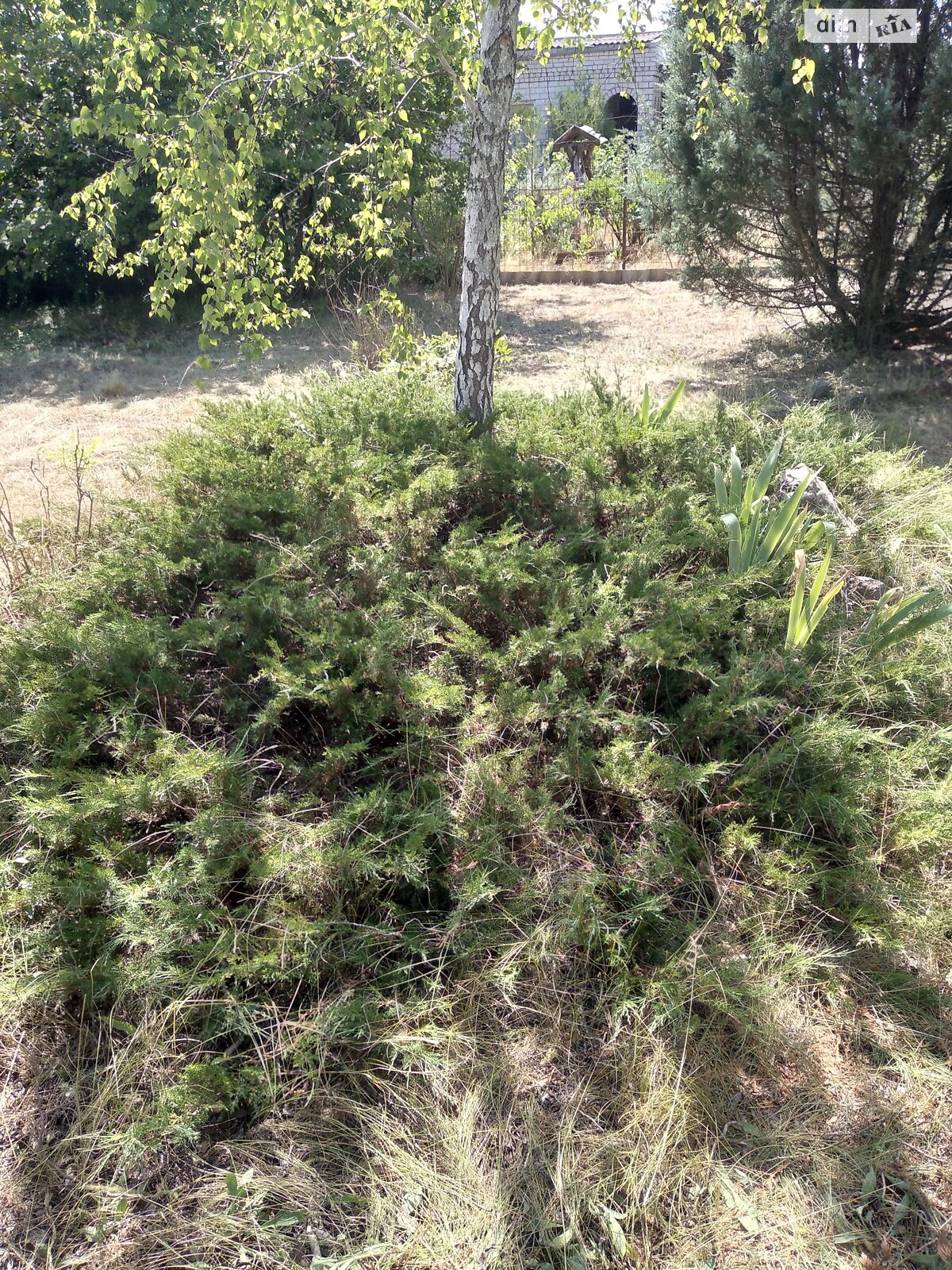 Земельный участок сельскохозяйственного назначения в Пересадовке, площадь 7.99 сотки фото 1