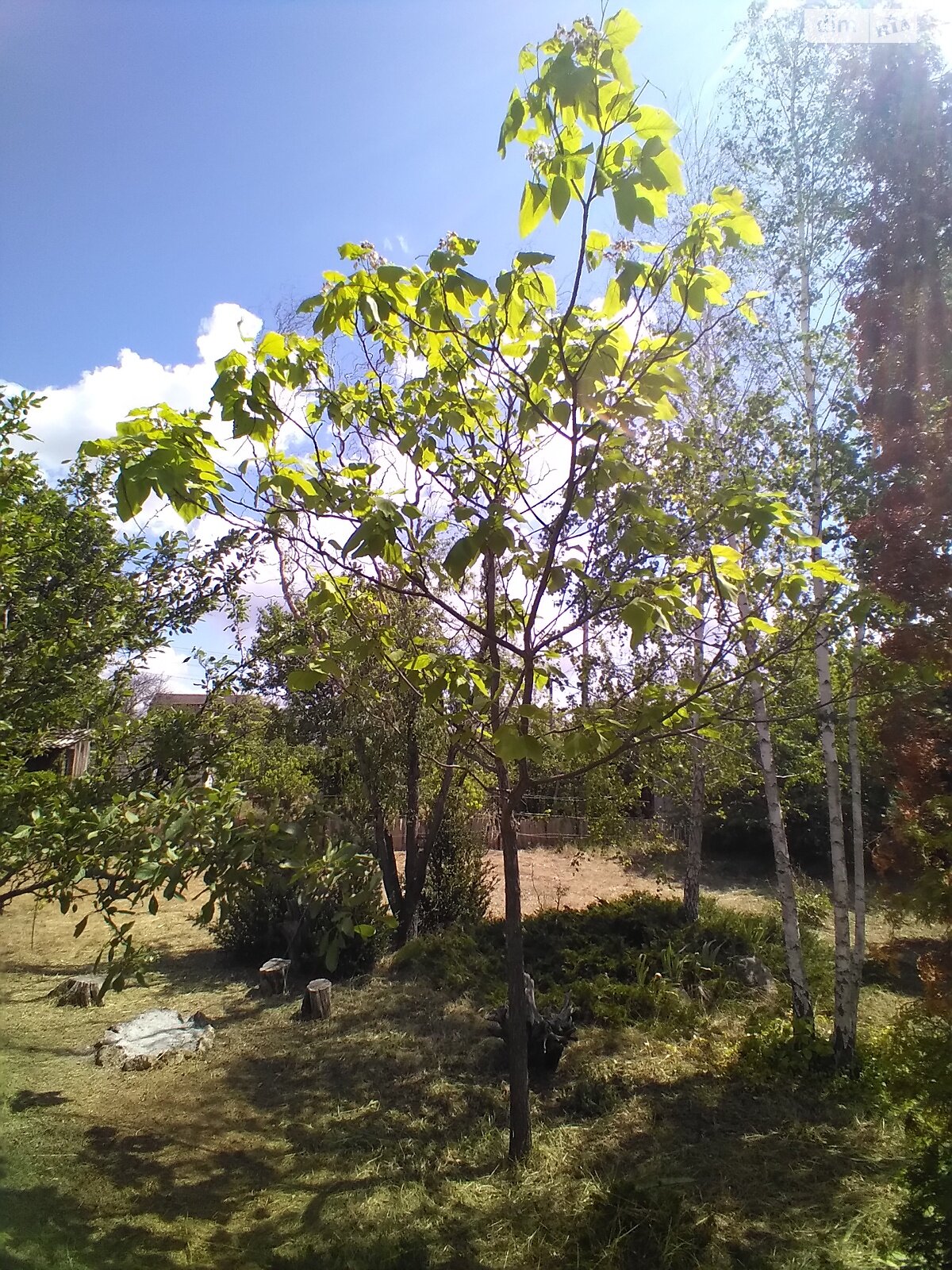 Земельный участок сельскохозяйственного назначения в Пересадовке, площадь 7.99 сотки фото 1