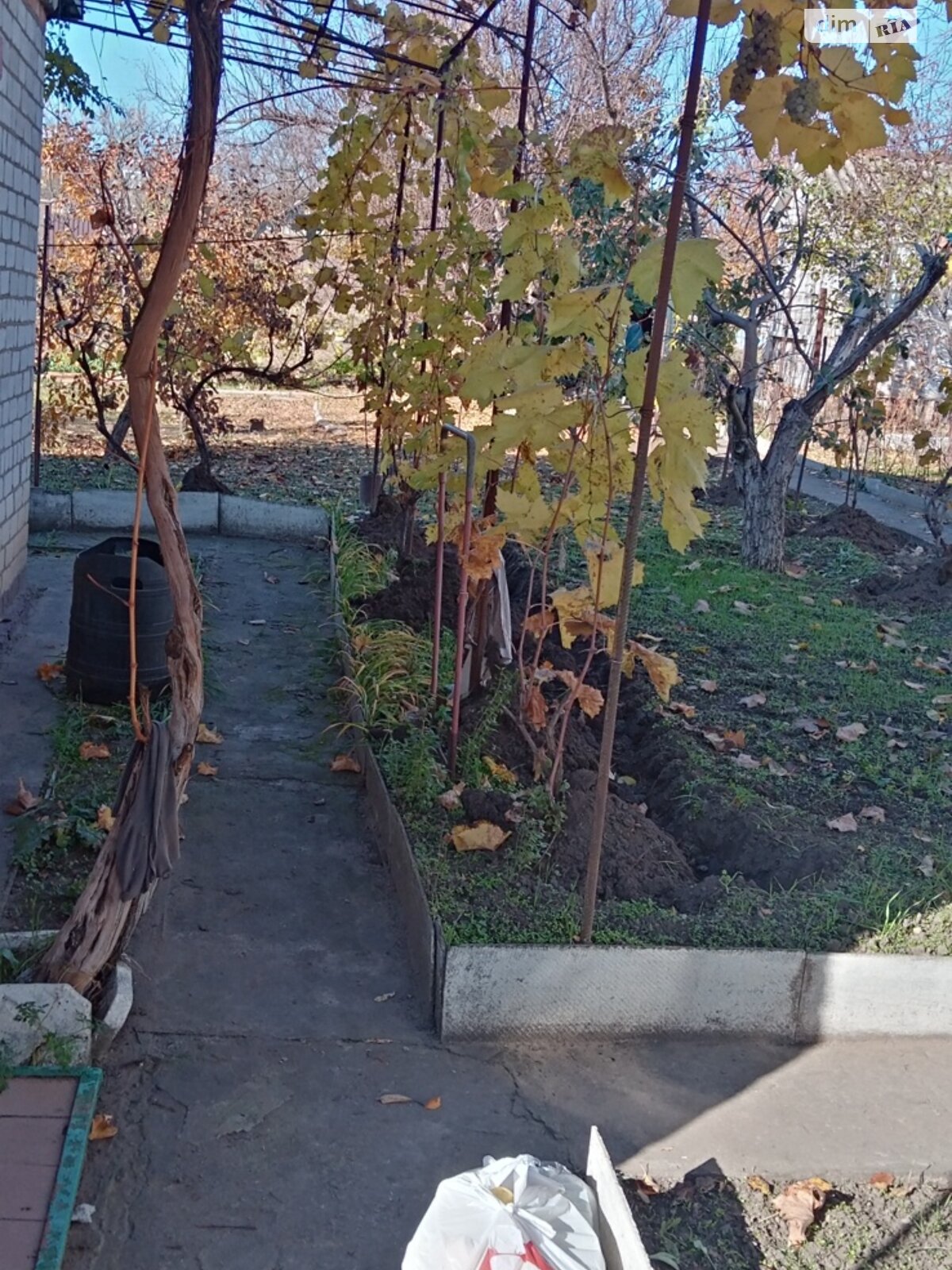 Земельный участок сельскохозяйственного назначения в Пересадовке, площадь 4 сотки фото 1 Земельный участок сельскохозяйственного назначения в Пересадовке, площадь 4 сотки фото 1