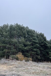 Земельный участок сельскохозяйственного назначения в Стовпягах, площадь 12 соток фото 2