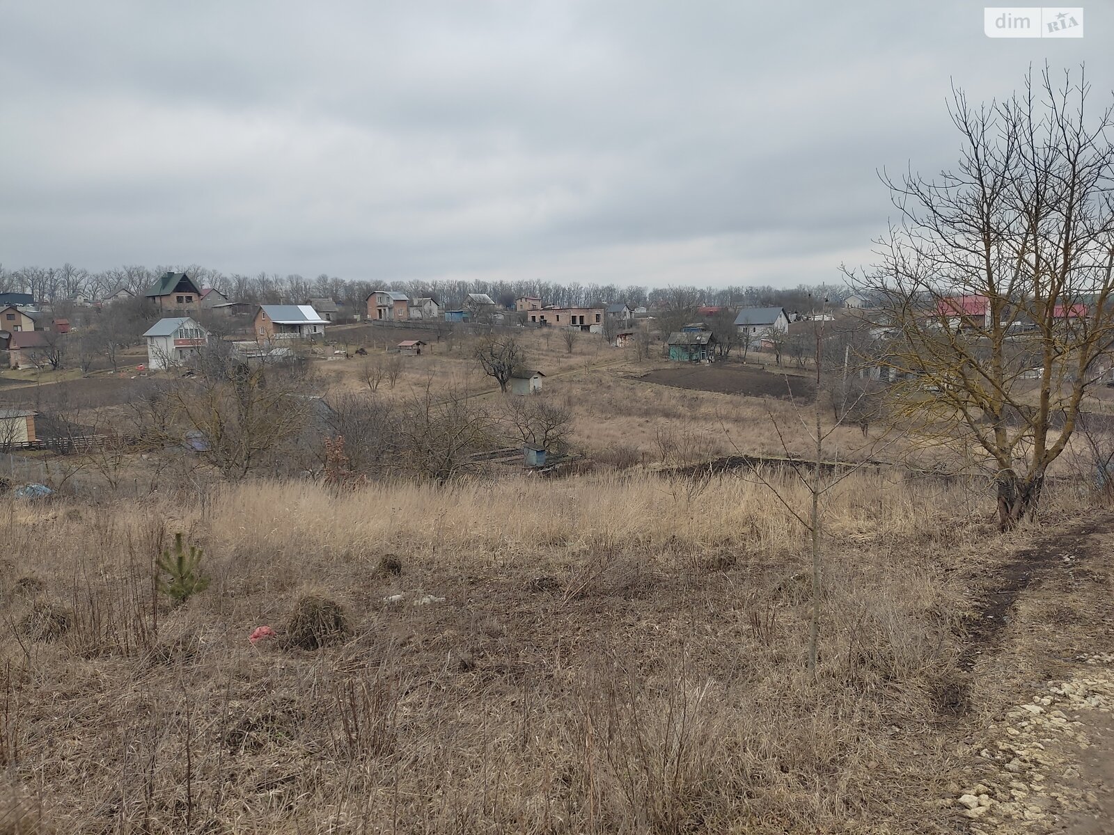 Земельна ділянка сільськогосподарського призначення в Перших Львівських дачах, площа 12 соток фото 1