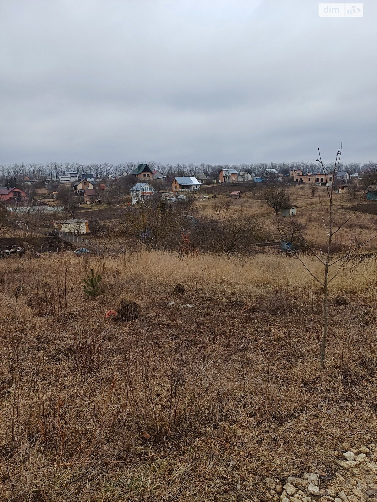 Земельна ділянка сільськогосподарського призначення в Перших Львівських дачах, площа 6 соток фото 1