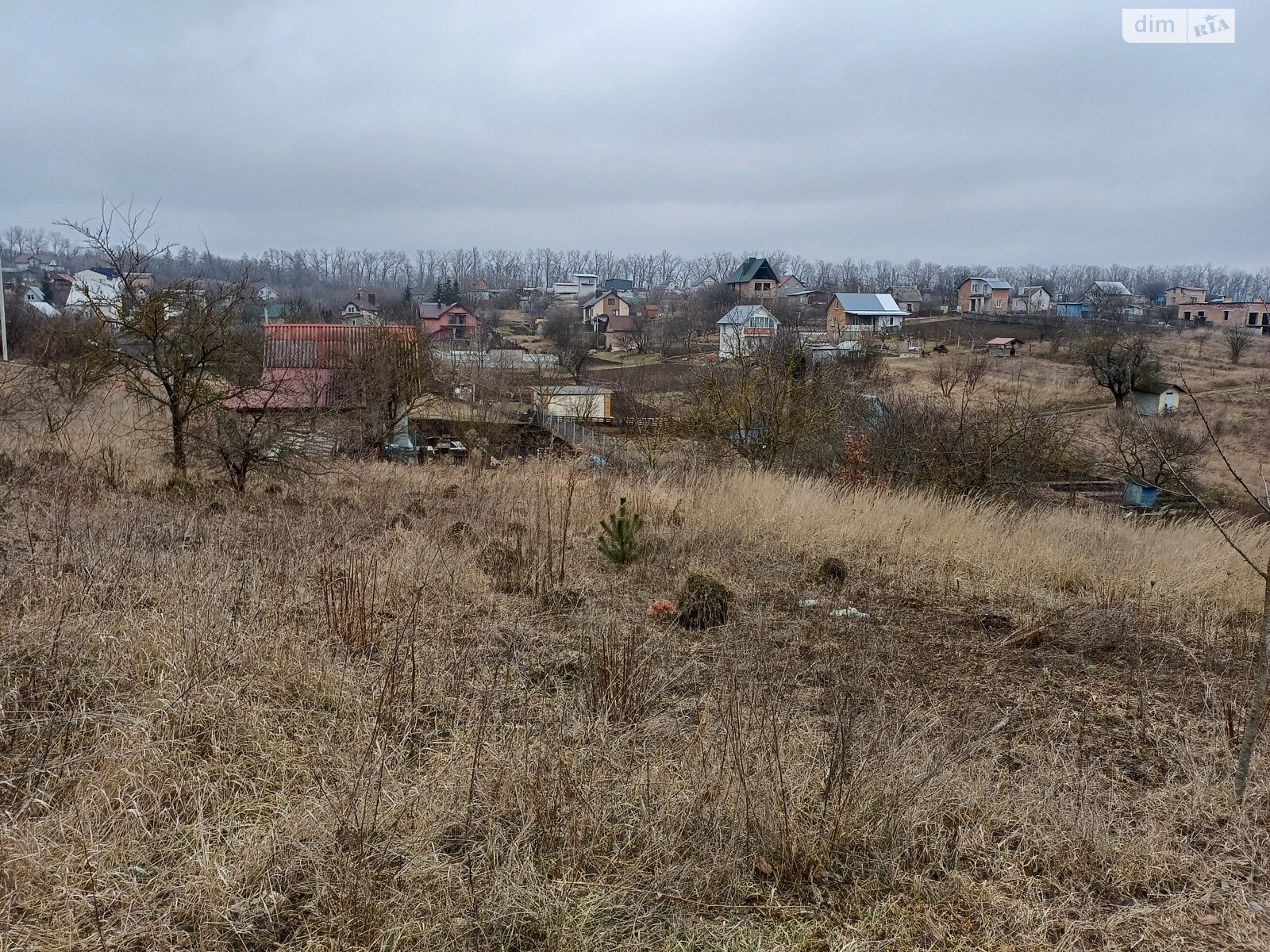 Земельна ділянка сільськогосподарського призначення в Перших Львівських дачах, площа 6 соток фото 1